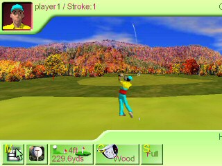  Nine Hole Golf